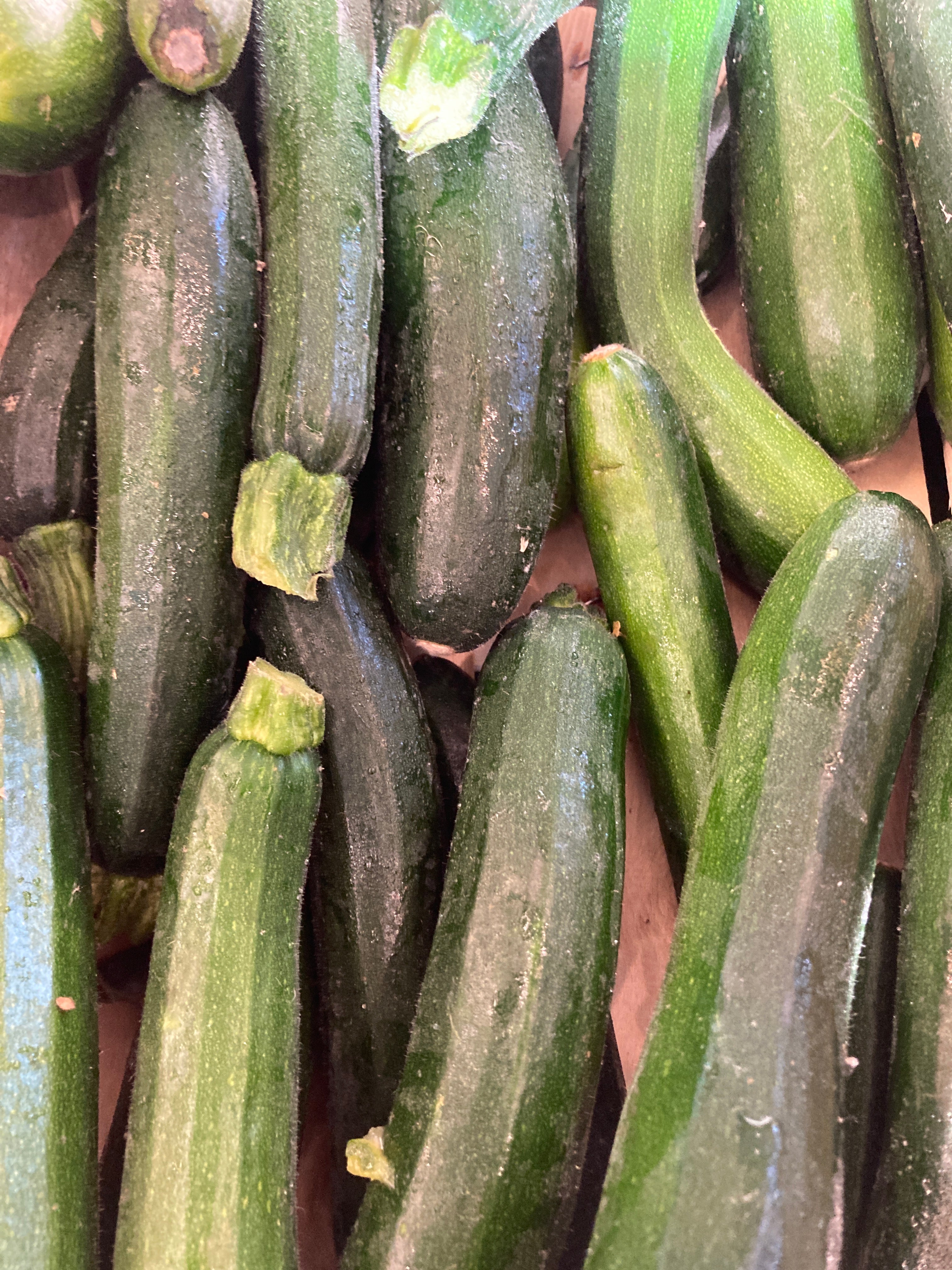 Courgettes