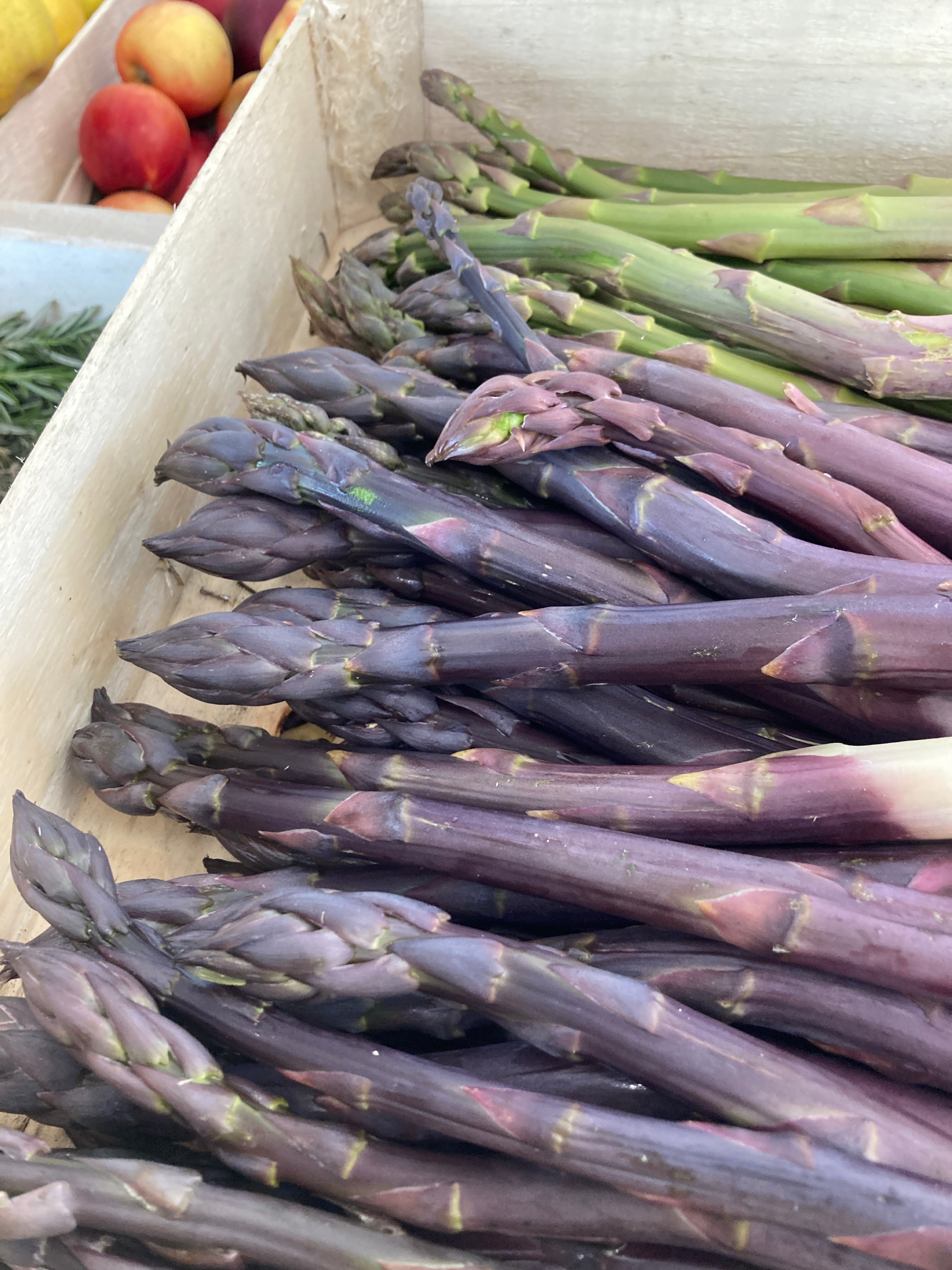 ASPERGES VERTES ET VIOLETTES