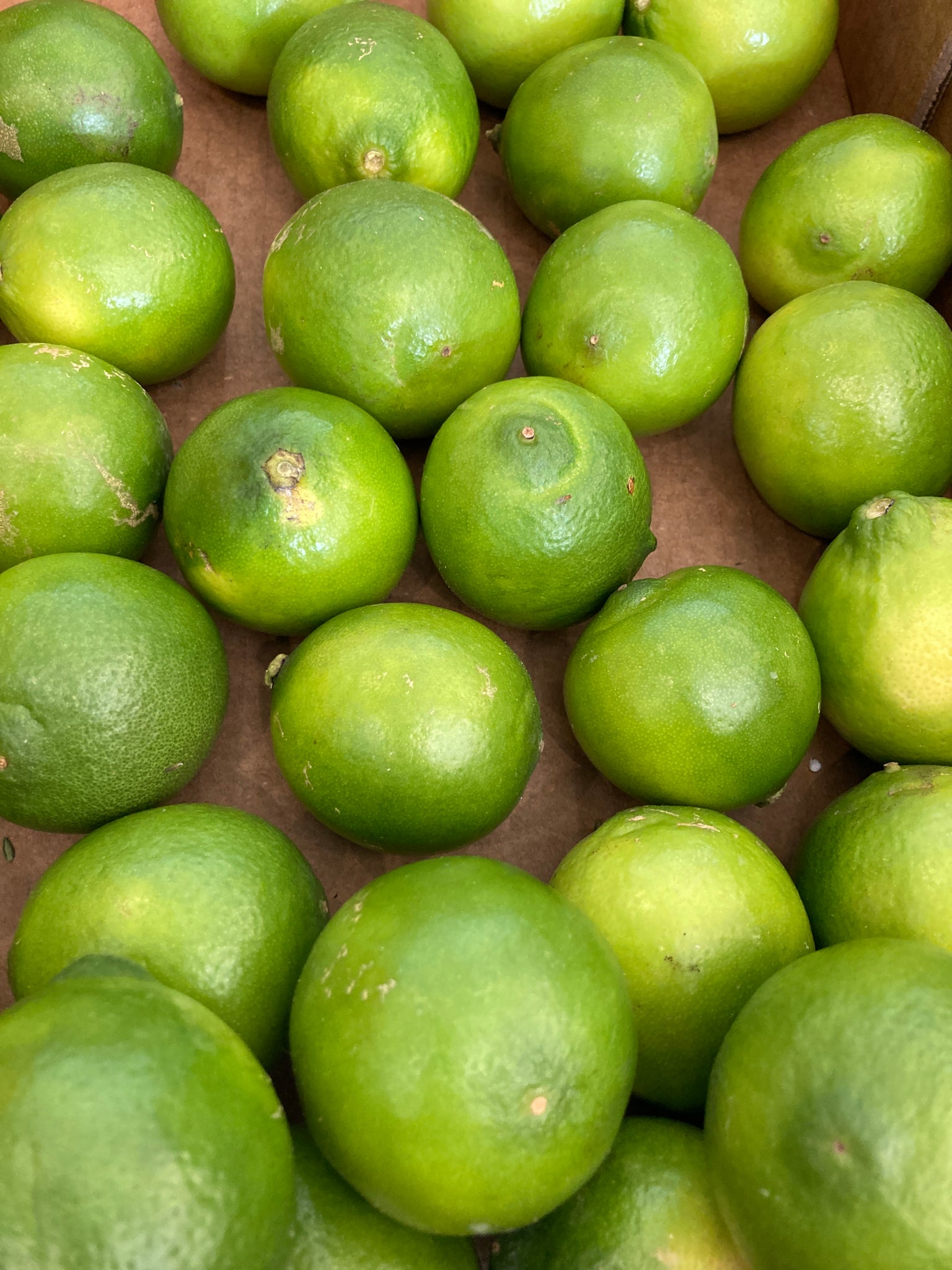 CITRON VERT LIME