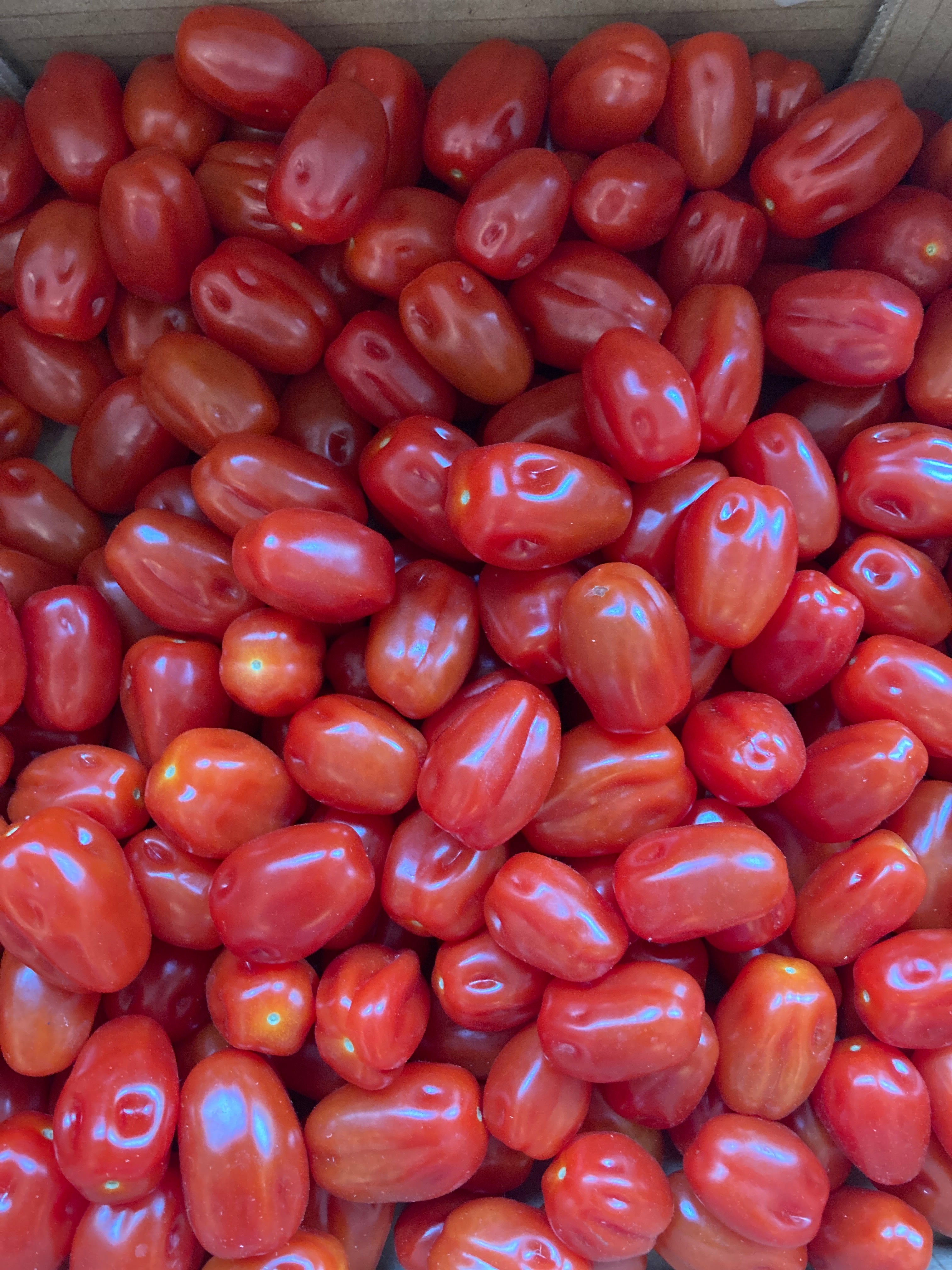 TOMATES CERISE