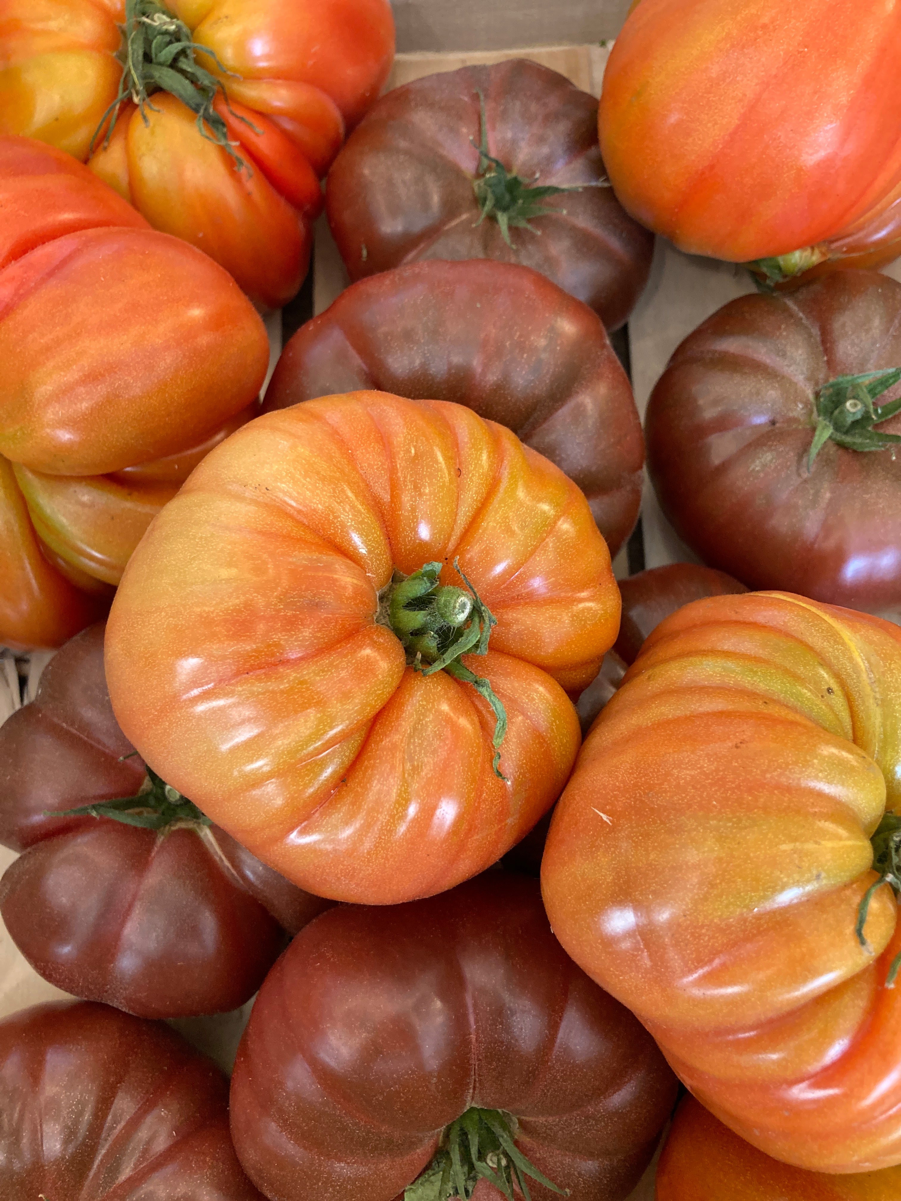 TOMATES POPULATION PROMO +2kg
