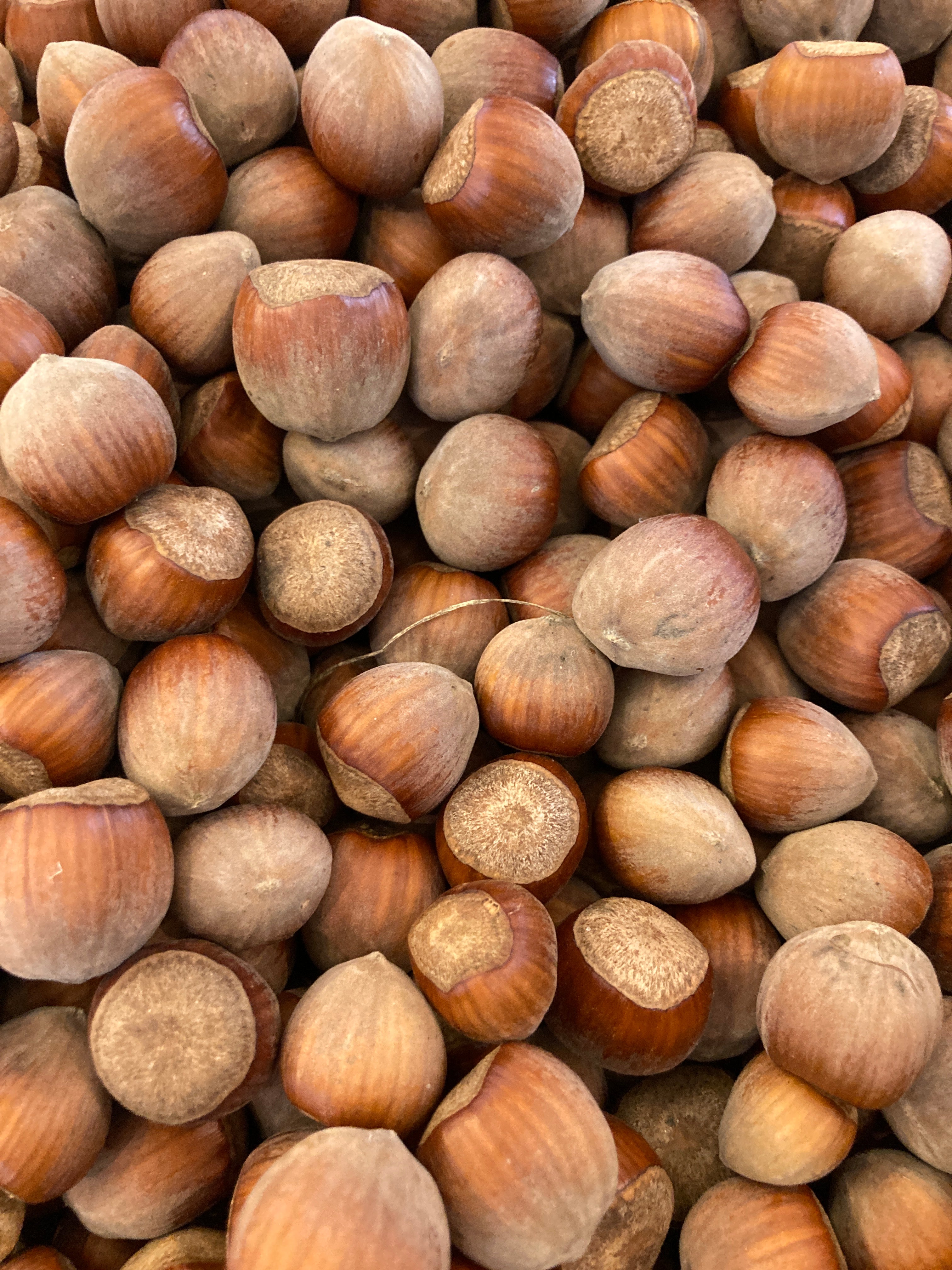 NOISETTES COQUES - VRAC