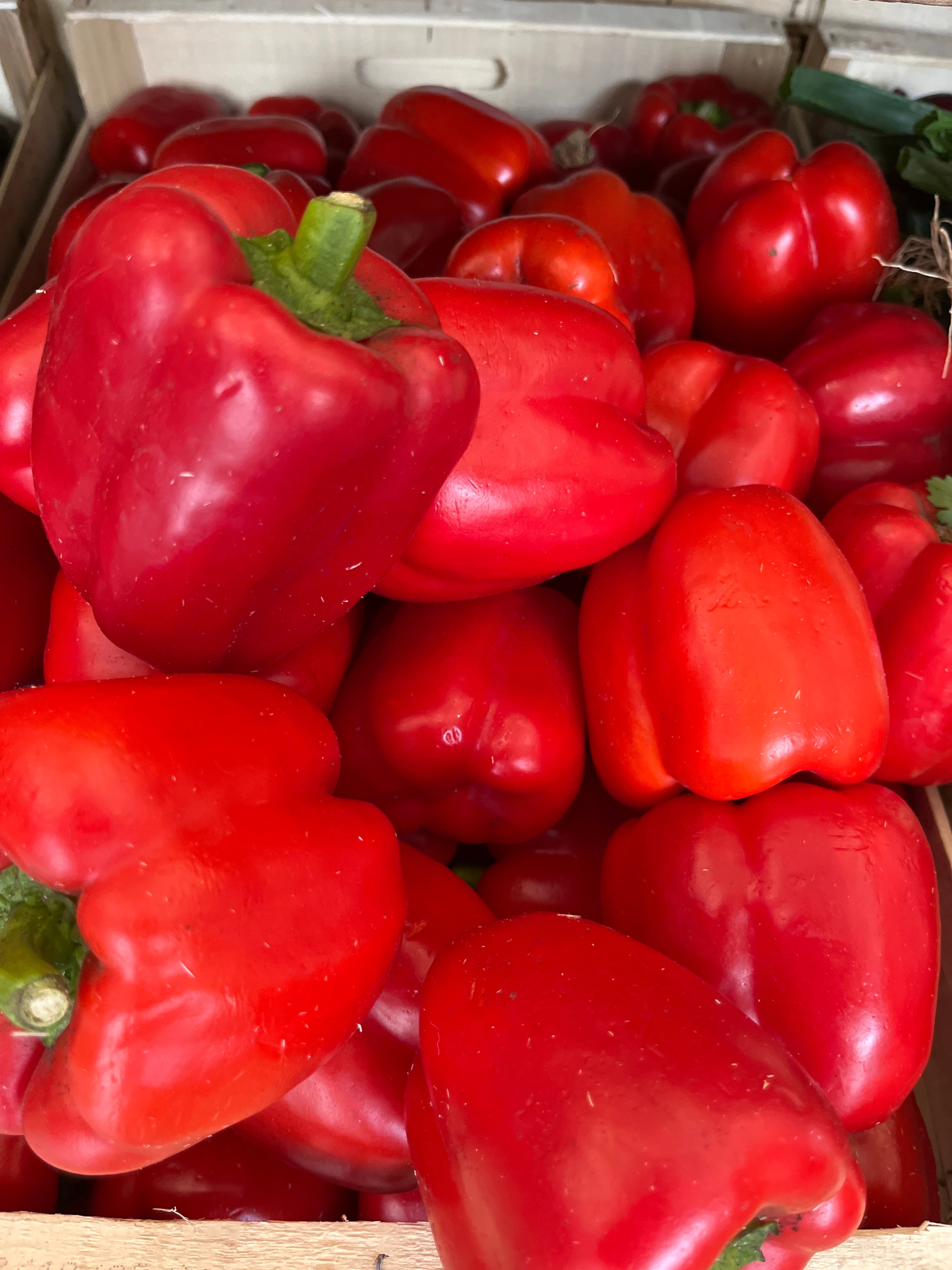 POIVRONS ROUGES ET VERTS