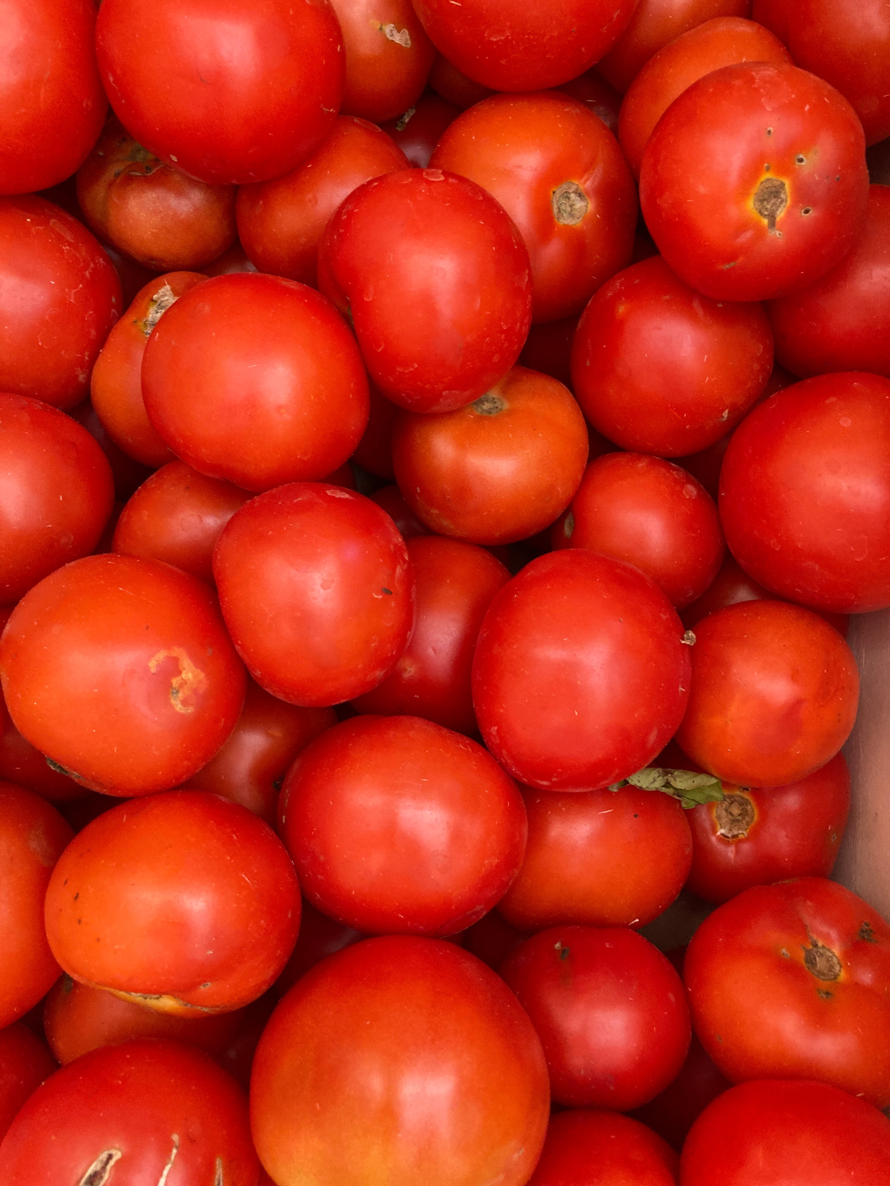 TOMATES RONDES OU GRAPPES