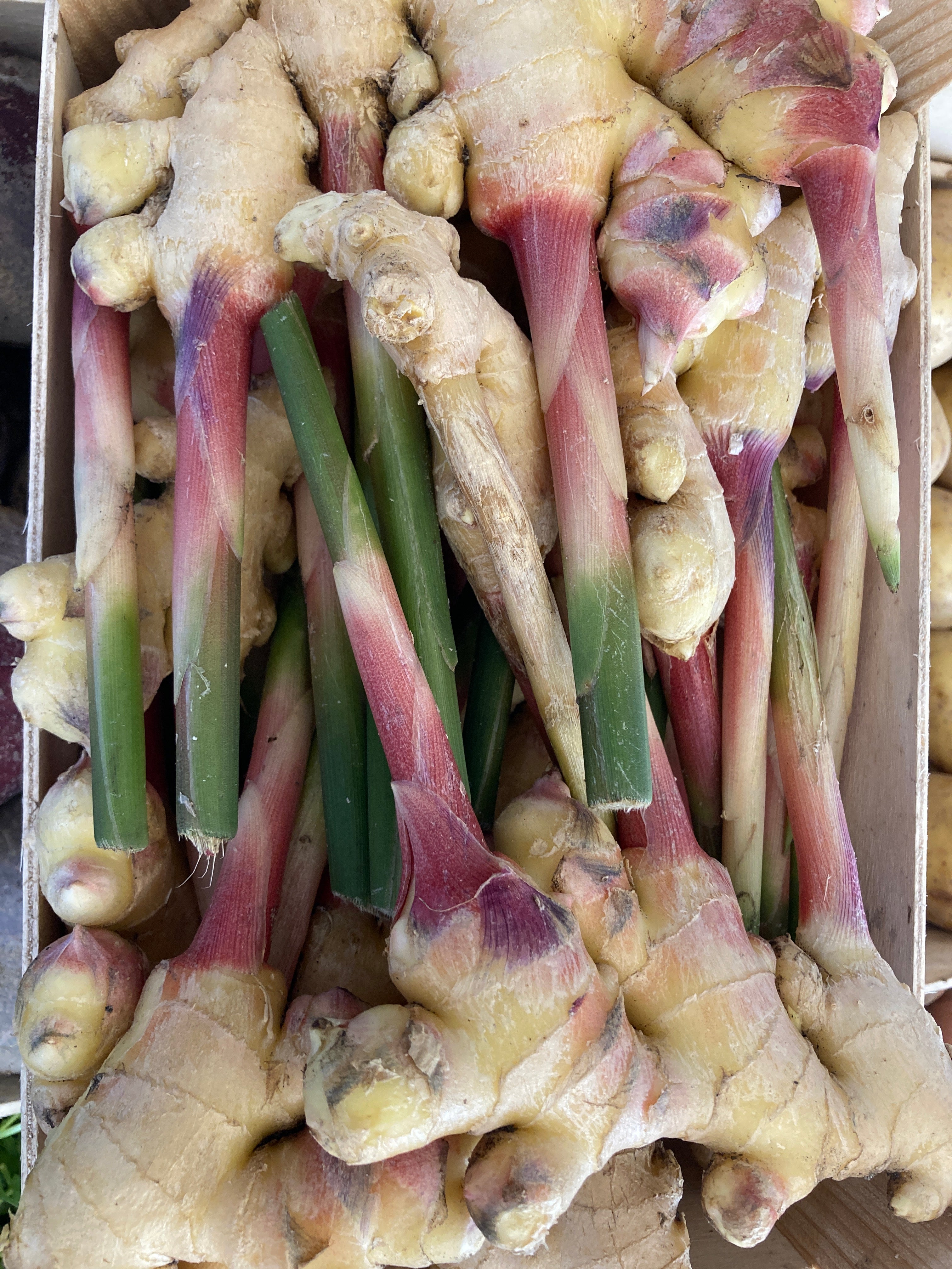 GINGEMBRE FRAIS DES LANDES