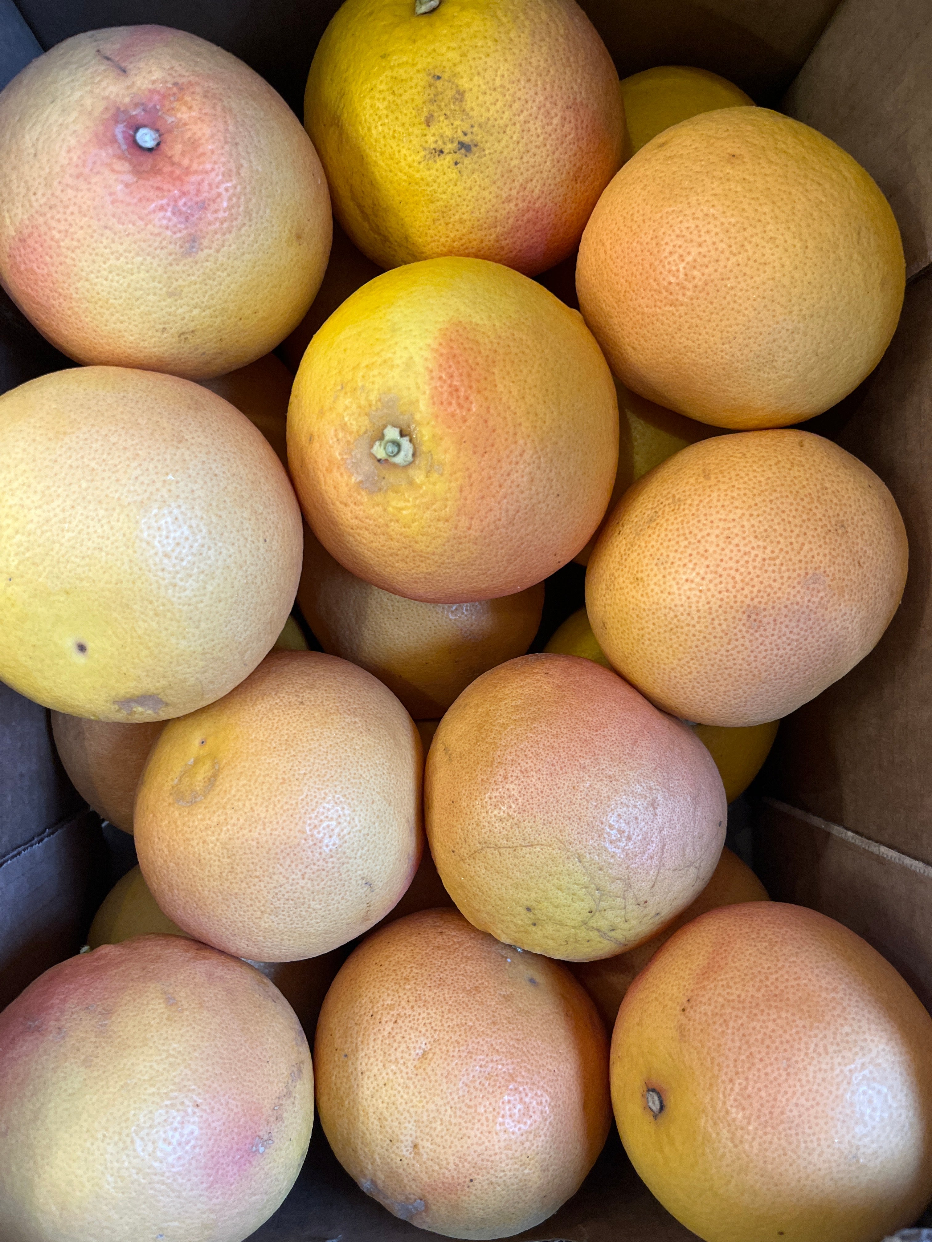 POMELO ESP