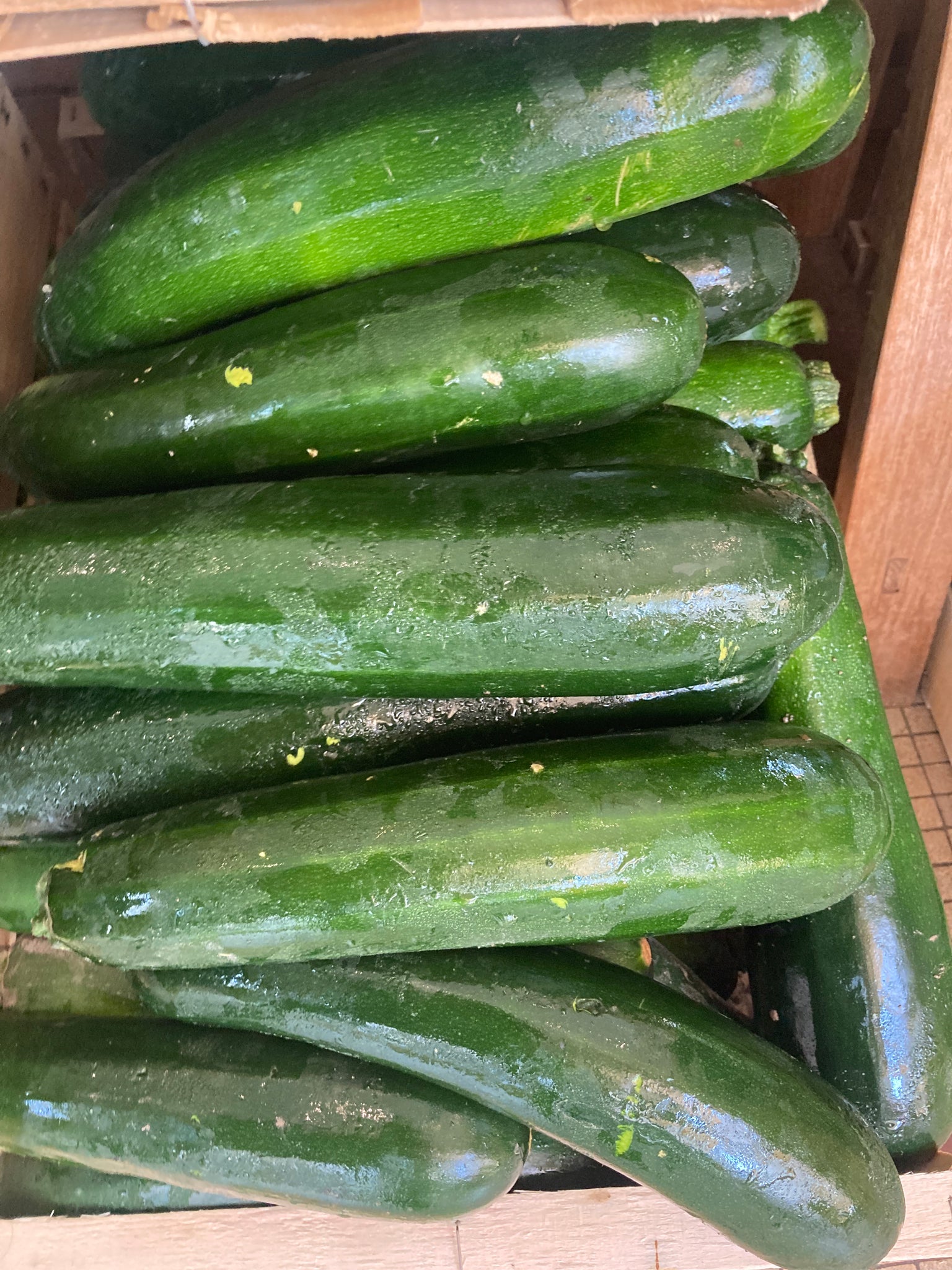 COURGETTES