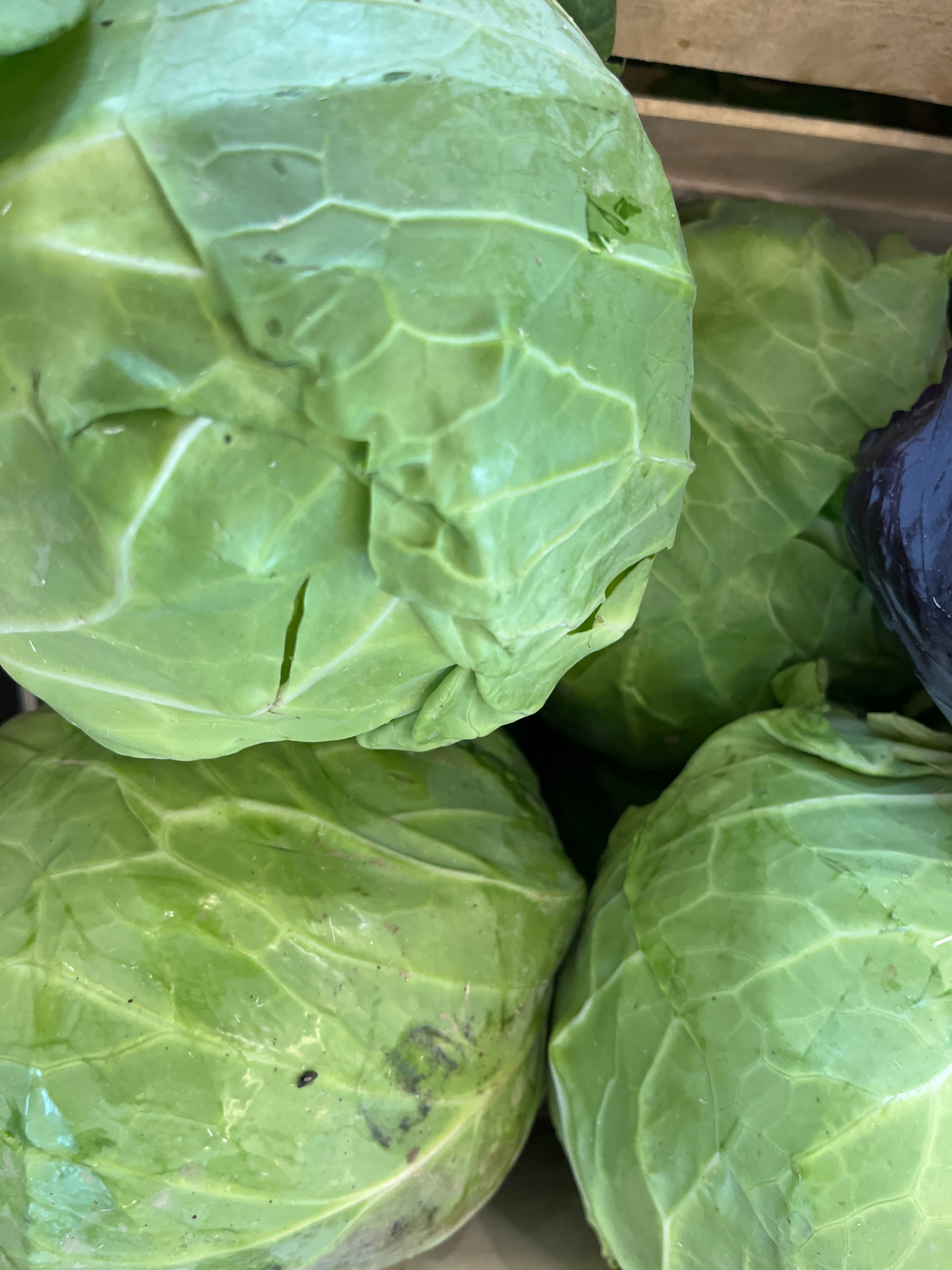 CHOU BLANC ROUGE PIÈCE