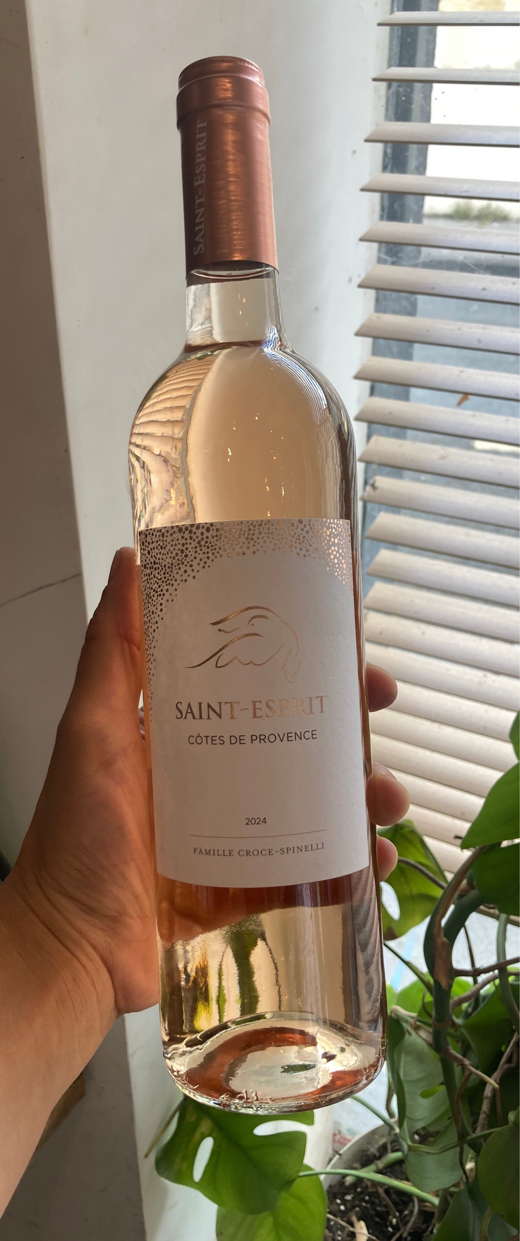SAINT ESPRIT - CÔTES DE PROVENCE- rosé