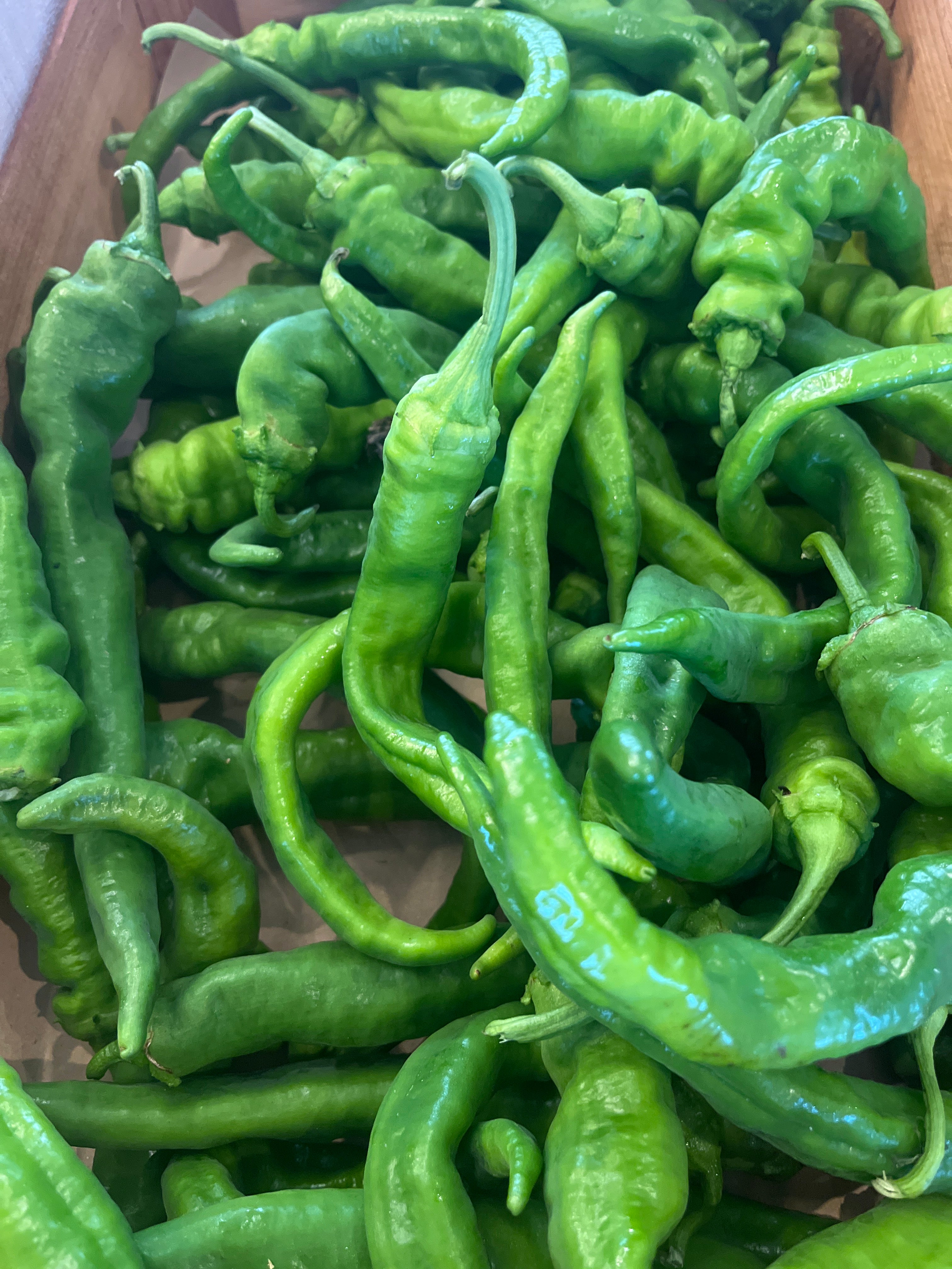 PIMENT LANDAIS DOUX