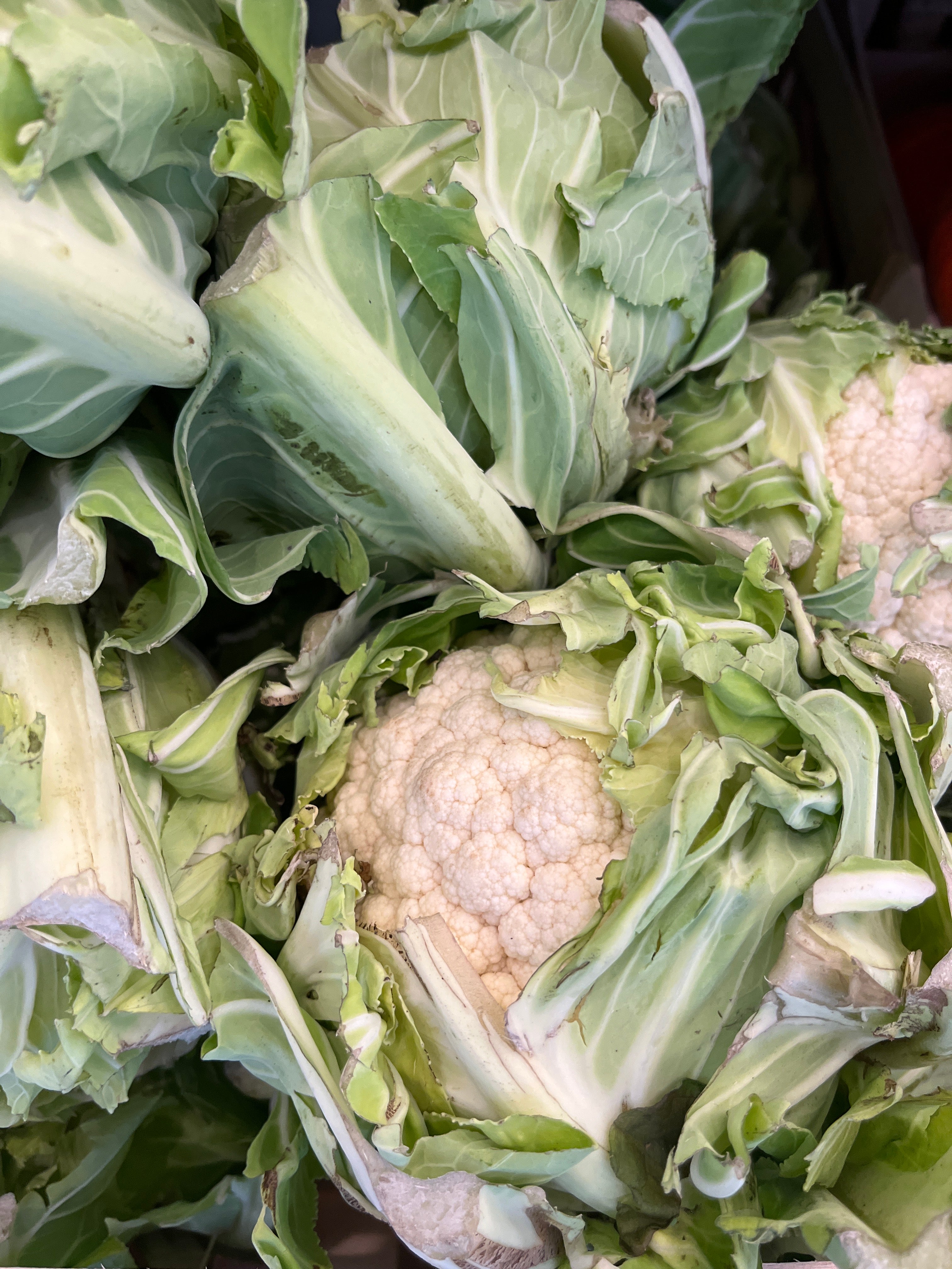 CHOU FLEUR MINI PIÈCE