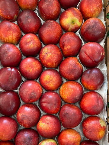 NECTARINES/PECHES