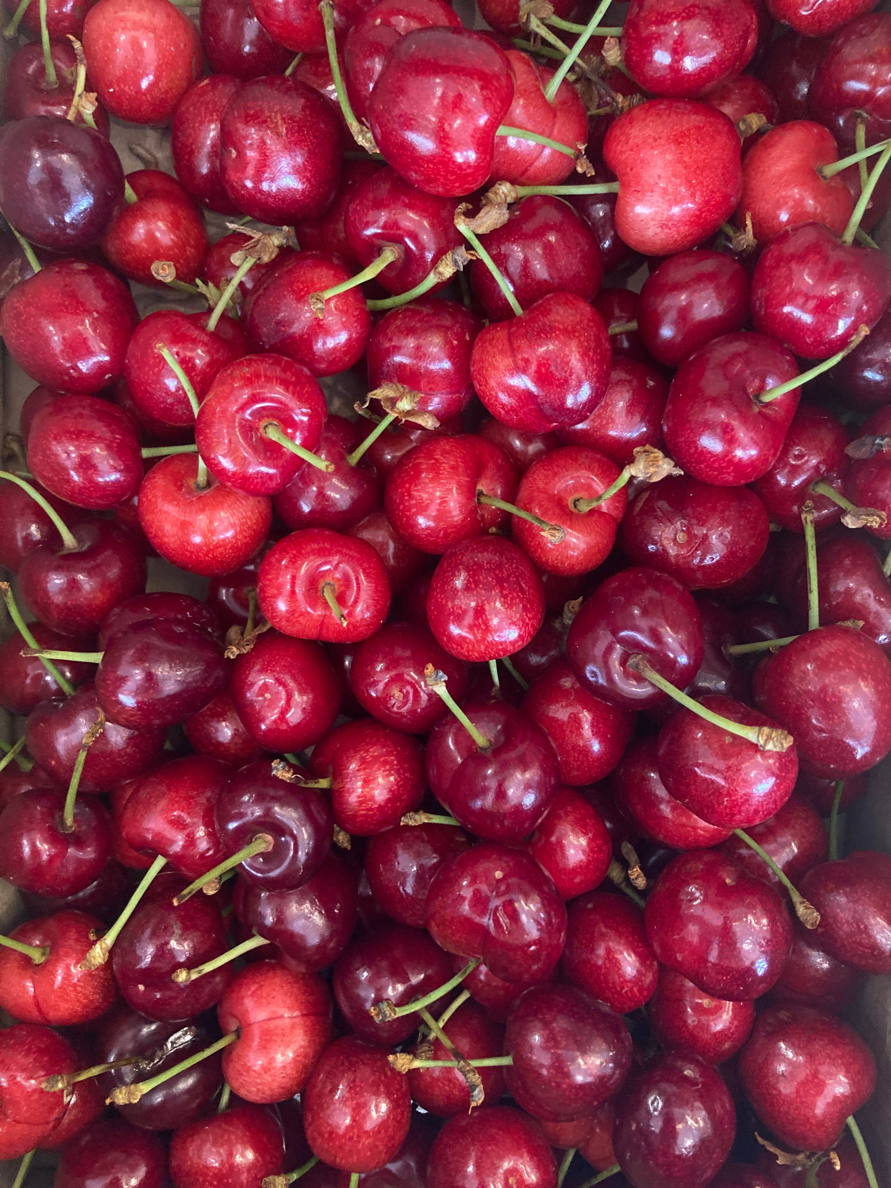 CERISES