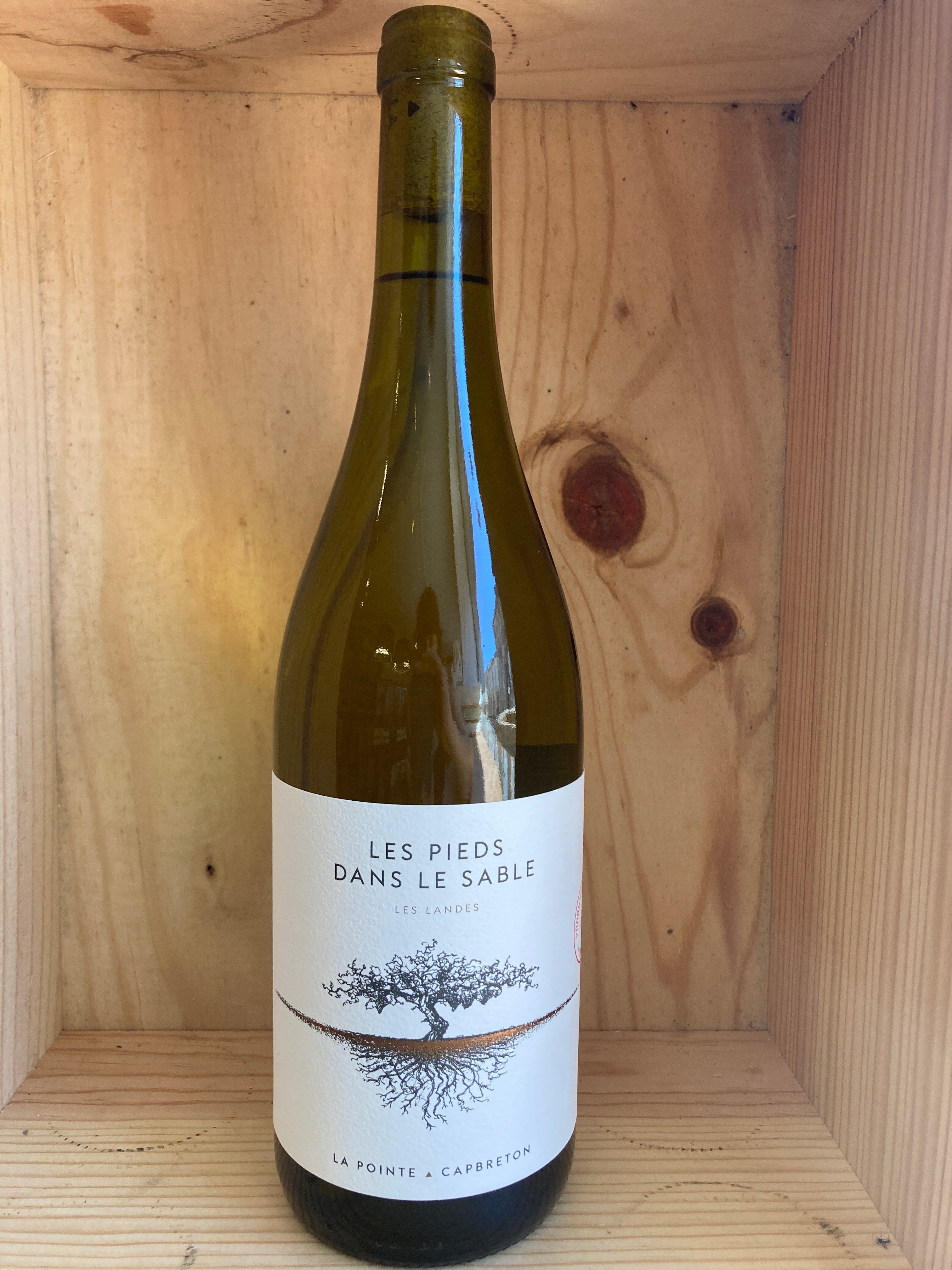 DOMAINE DE LA POINTE - LES PIEDS DANS LE SABLE BLANC