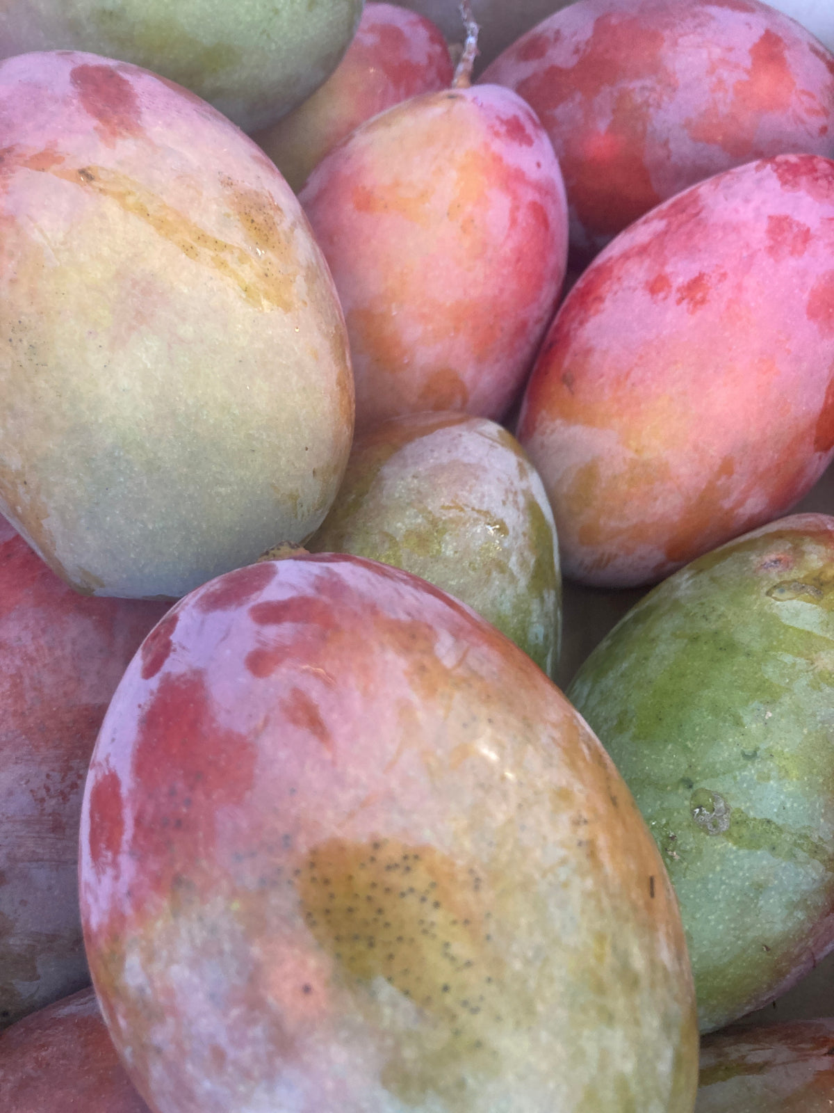 Mangue PIECE