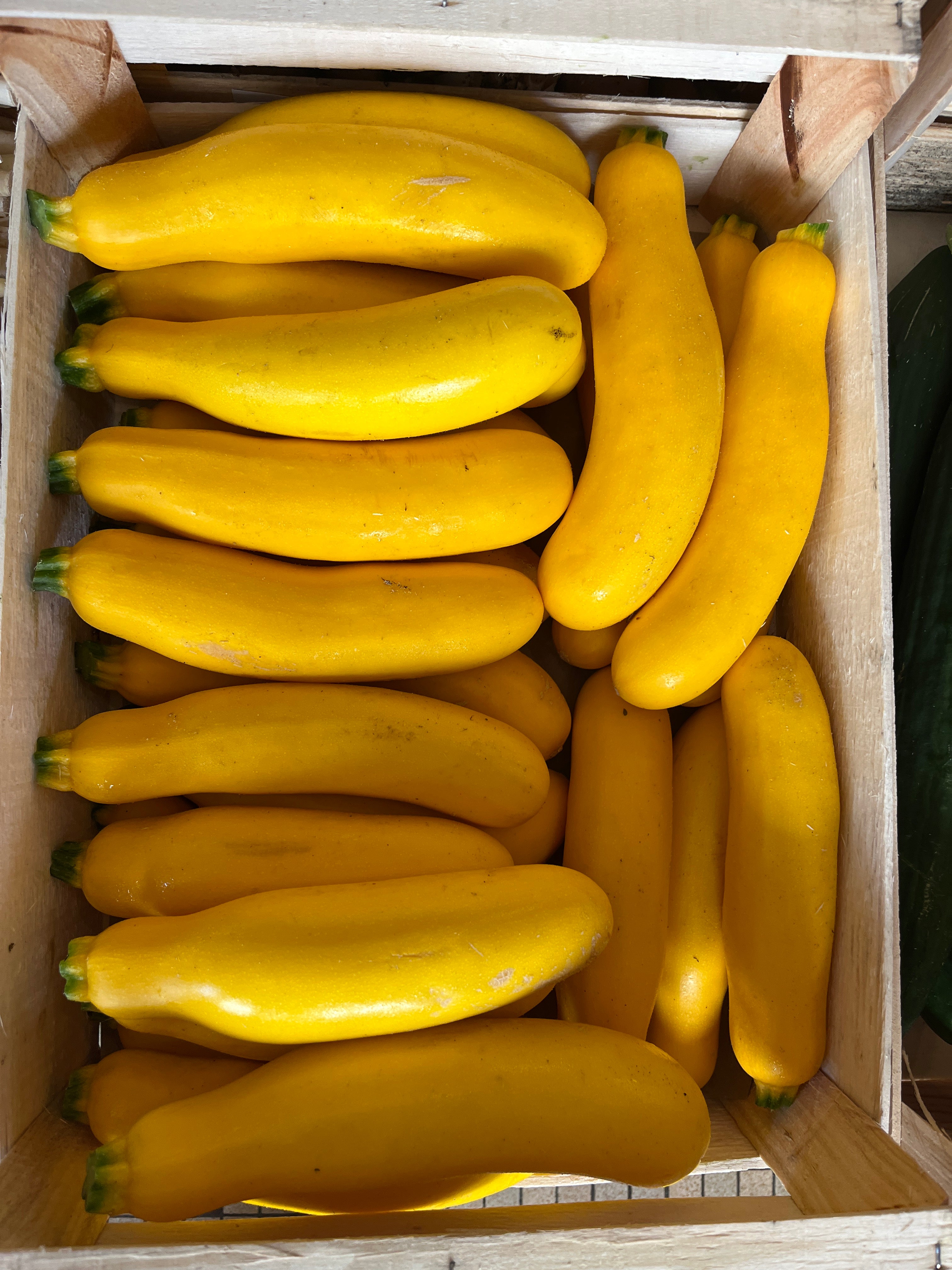 Courgettes jaunes