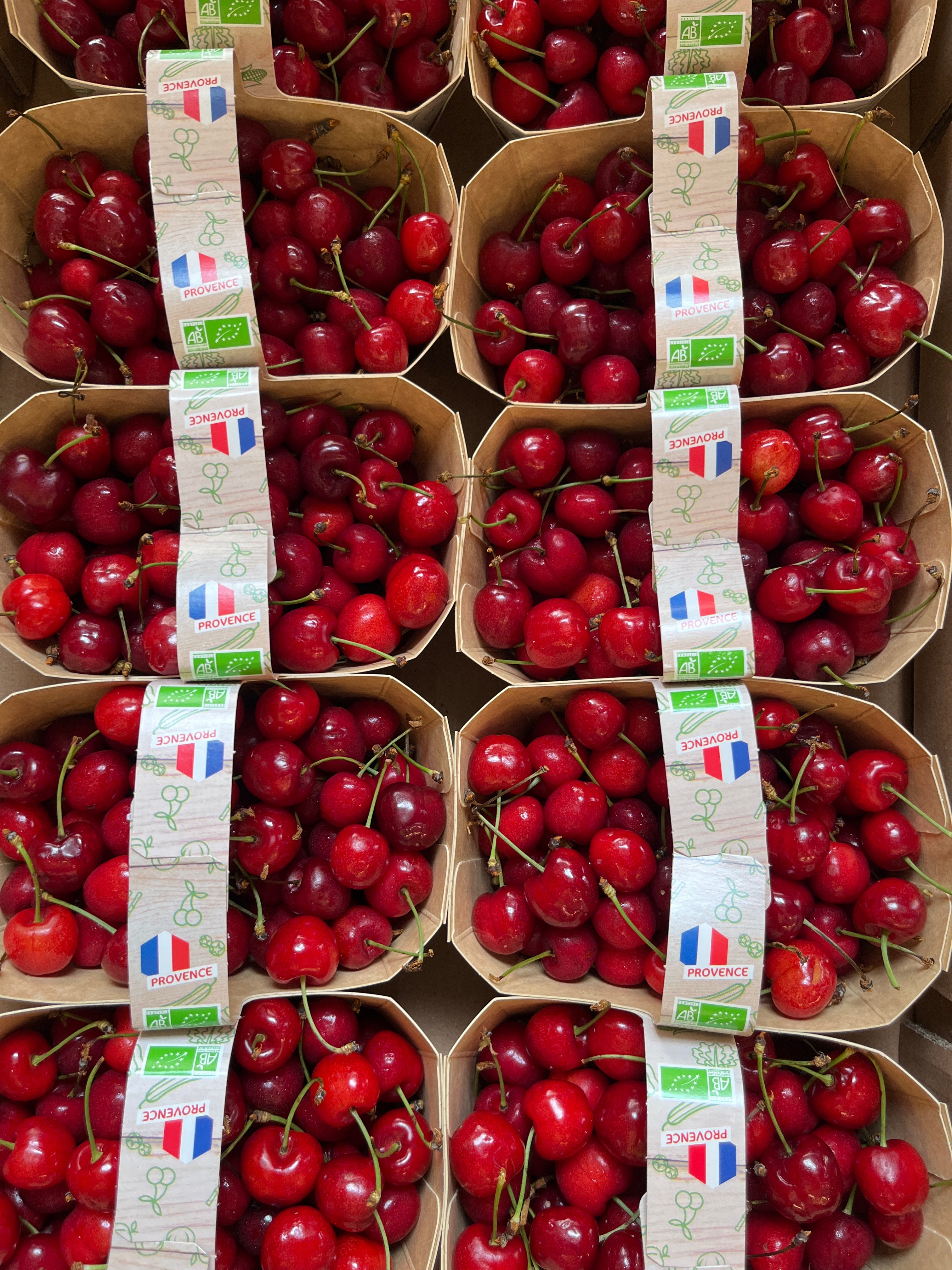500G CERISES GRANDE BARQUETTE