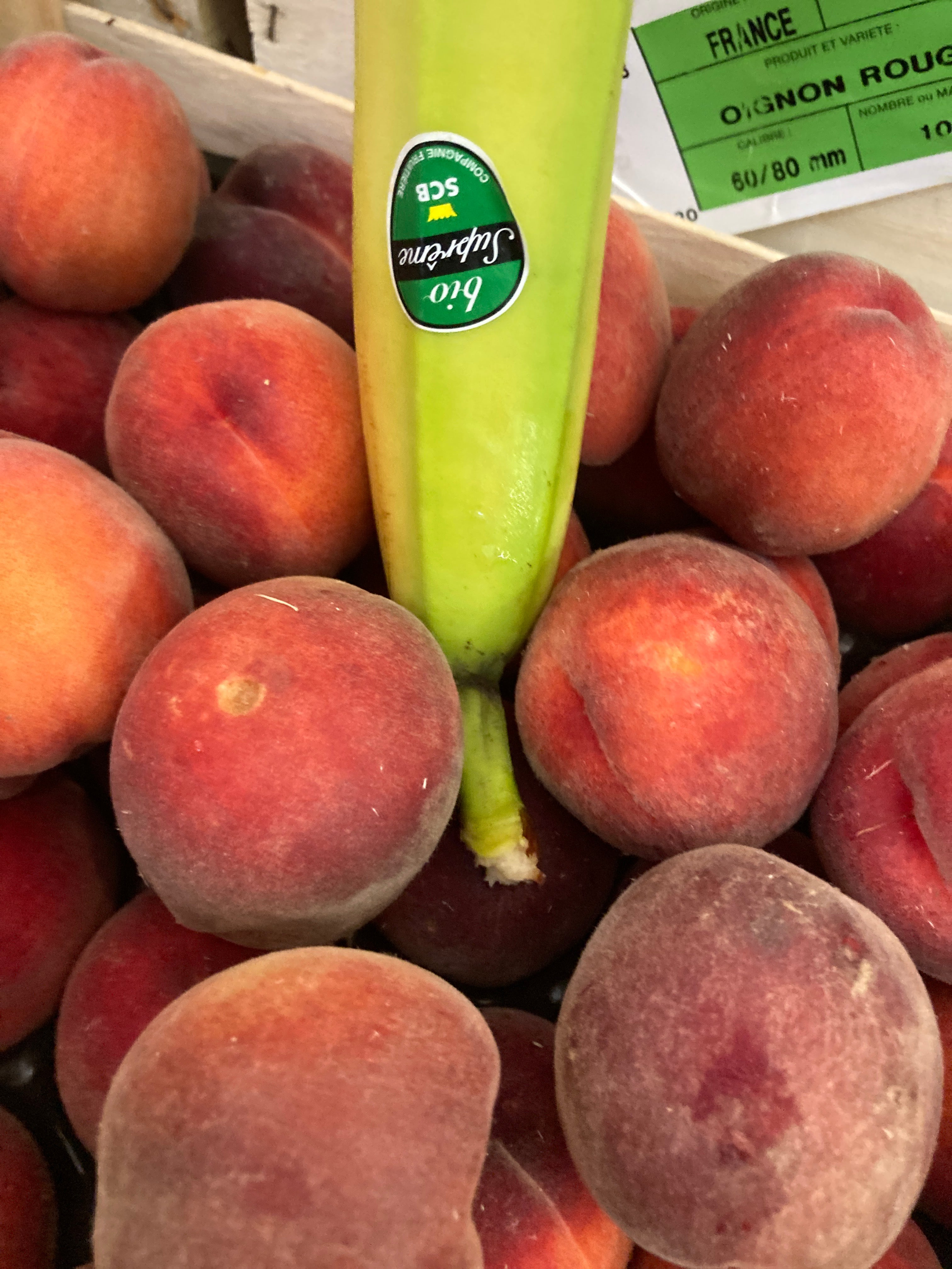 Pêches