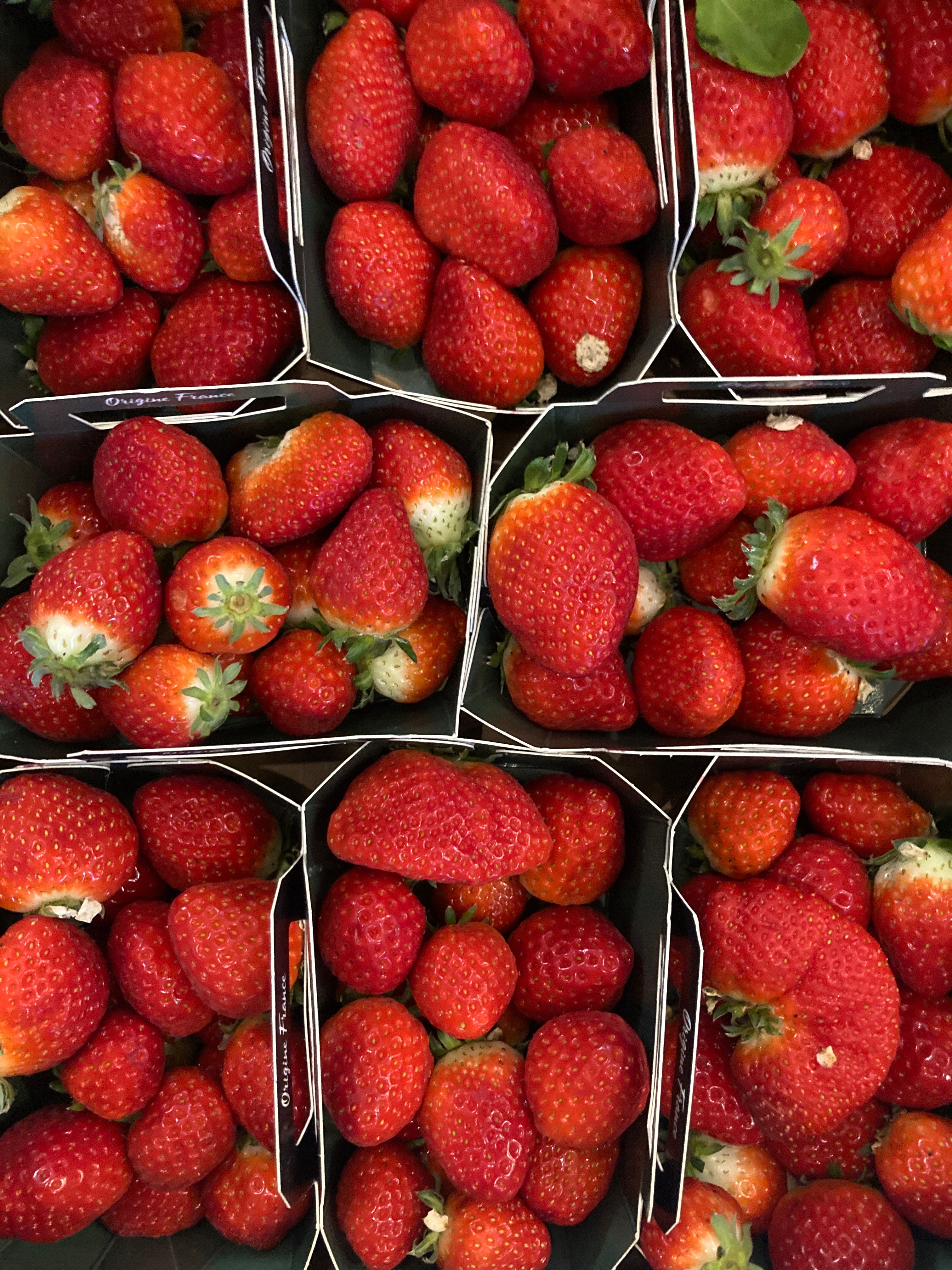 FRAISES 500G GRANDE BARQUETTE