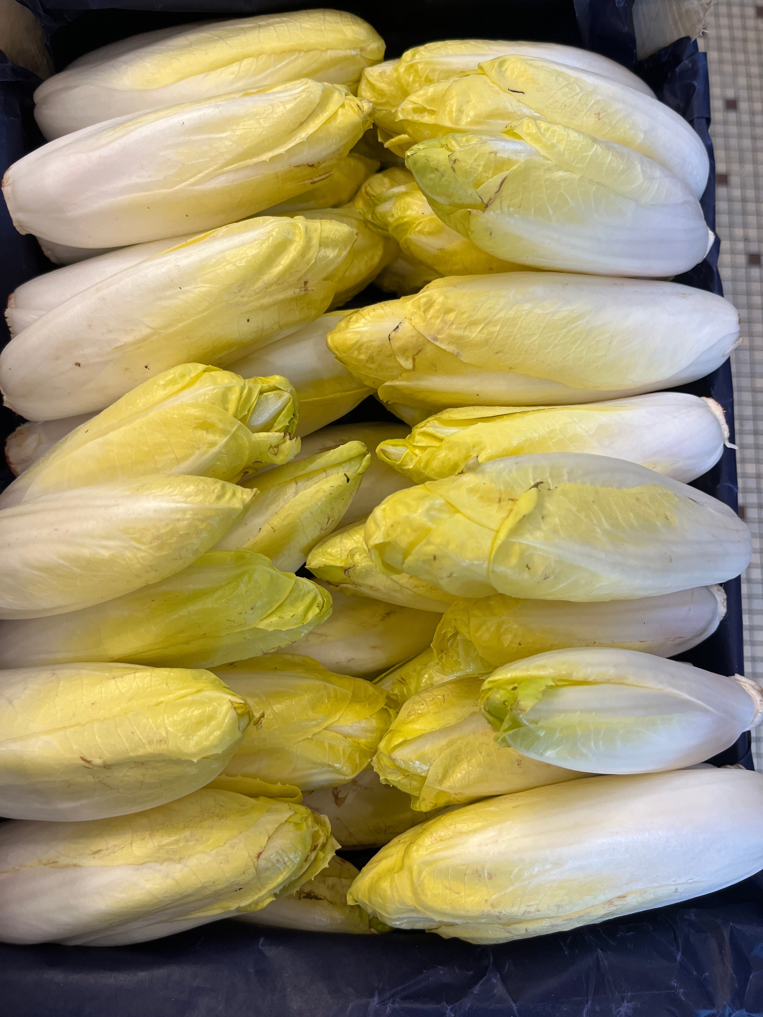 ENDIVES