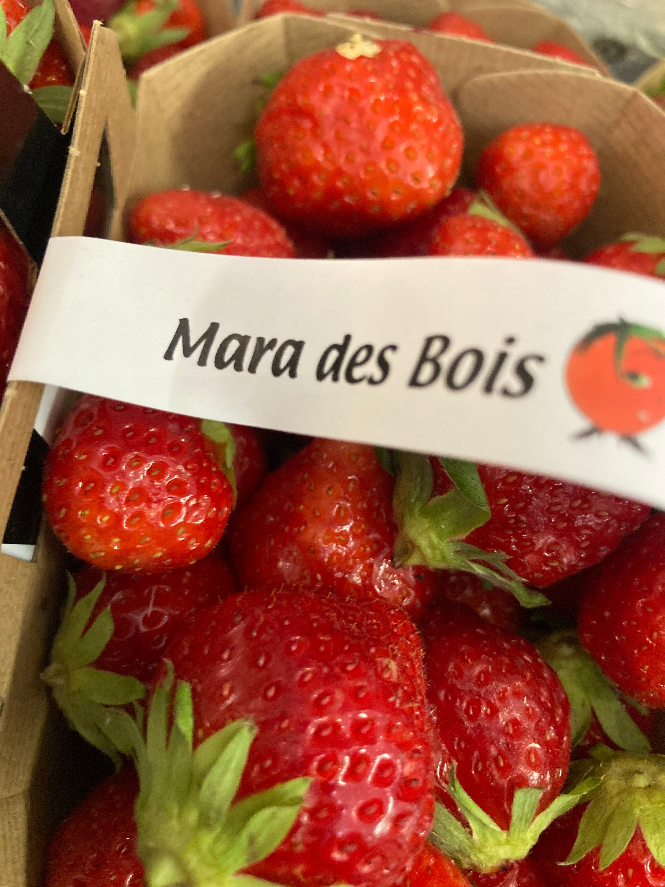 Mara des bois