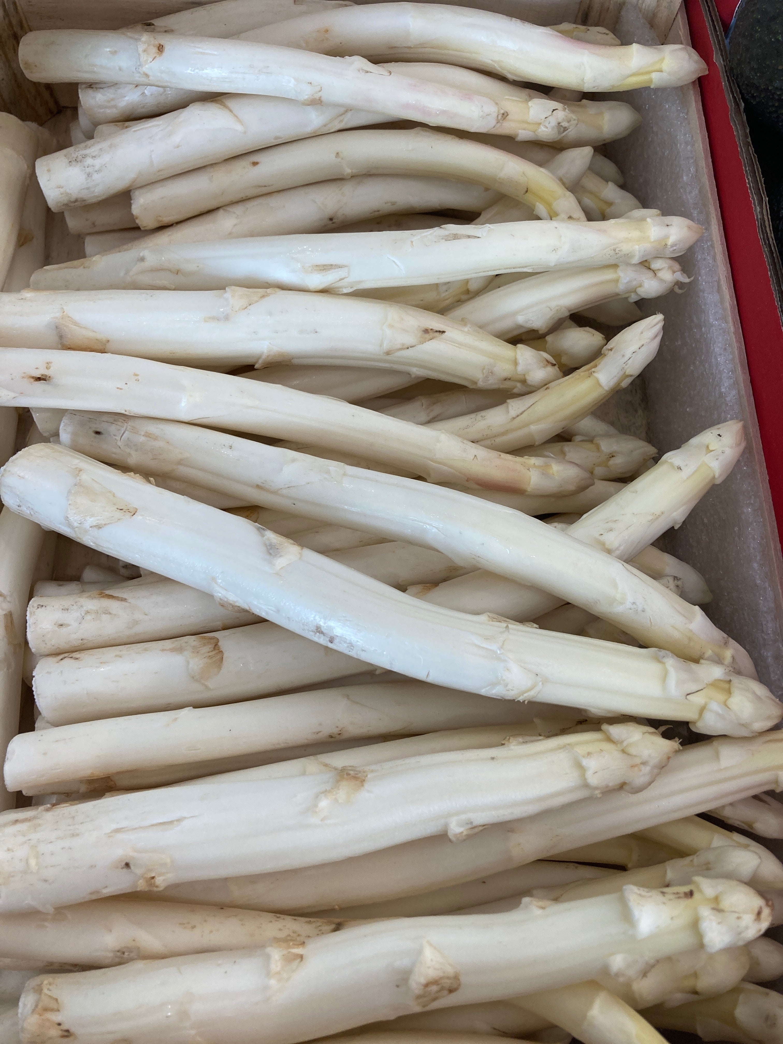 ASPERGES BLANCHES