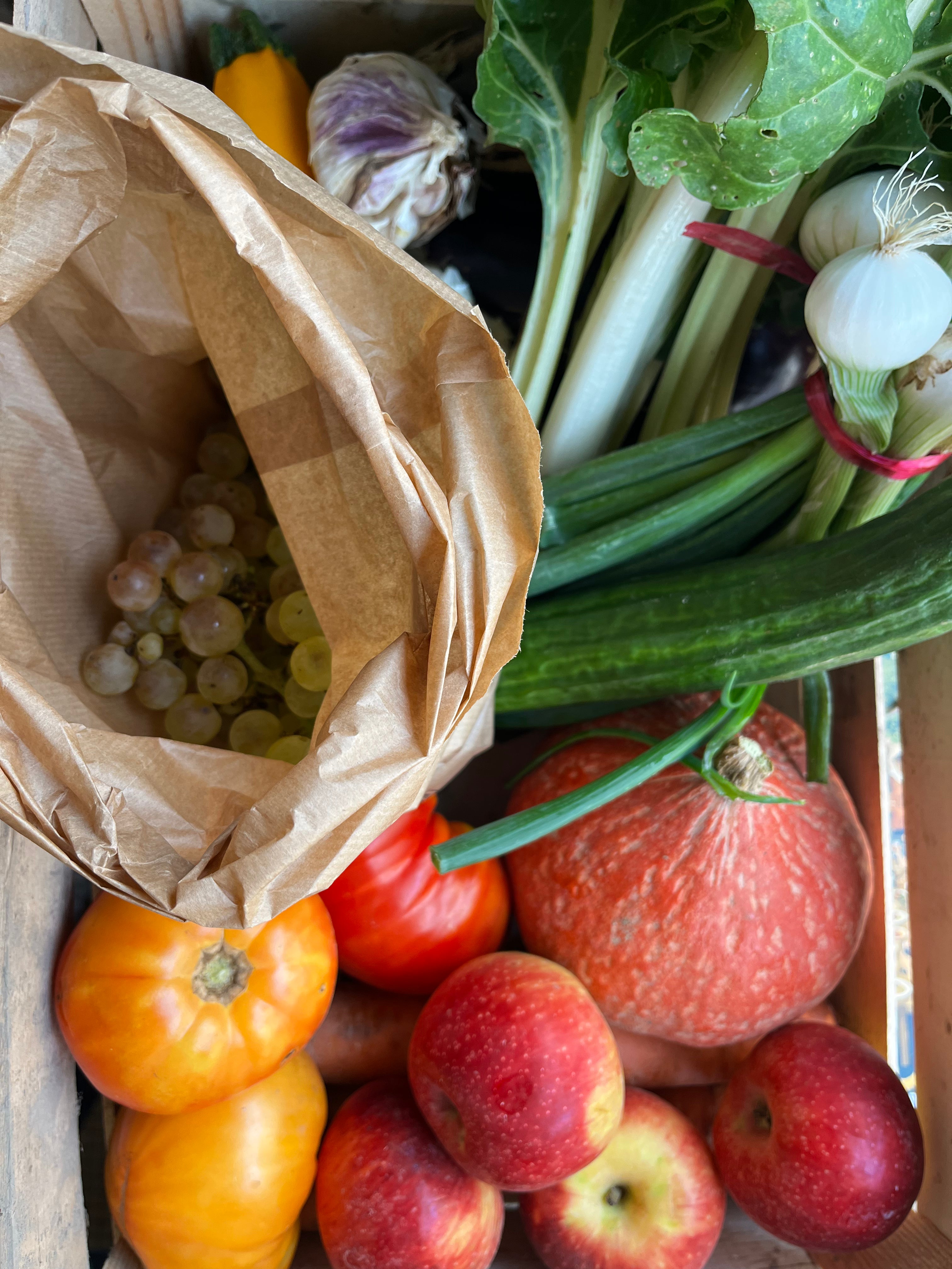 PANIER DE LA SEMAINE GRAND FORMAT  (7Kg minimum)
