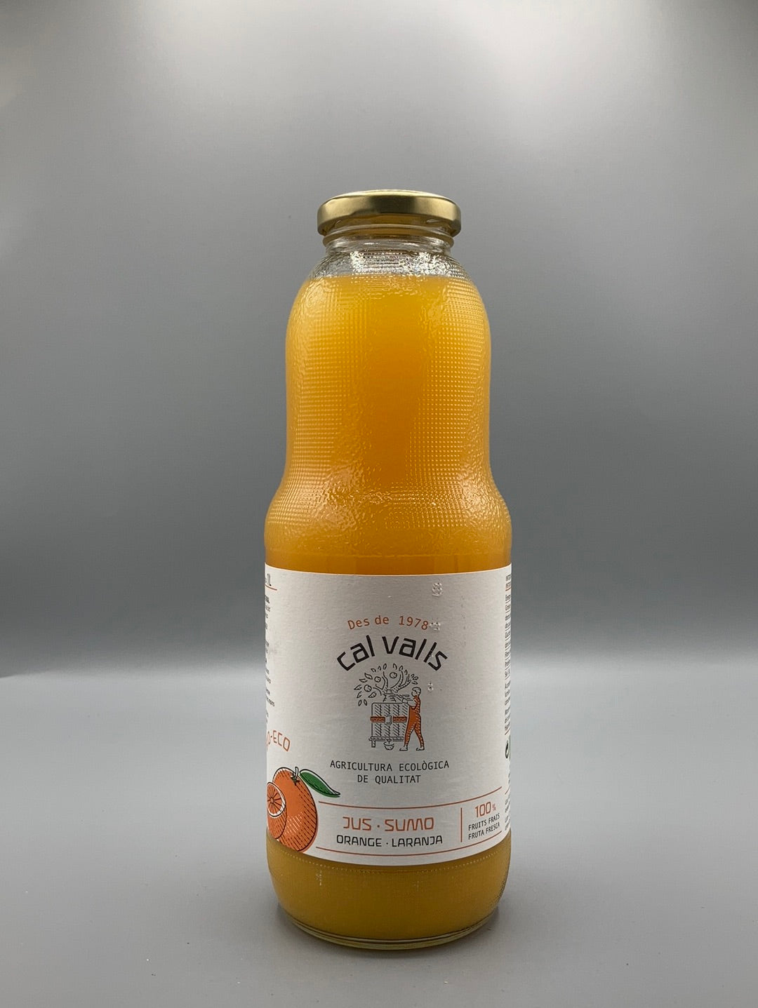 CITRONNADE À LA POMME