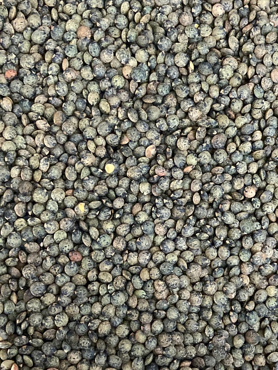 LENTILLES VERTES - VRAC