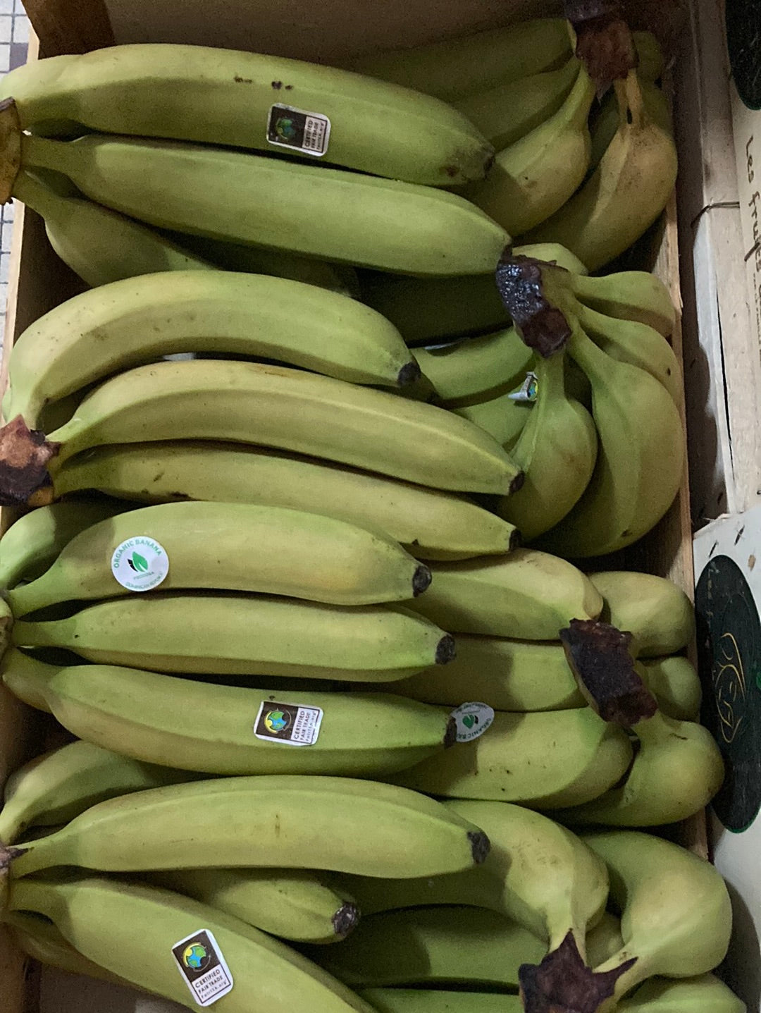 BANANE CAVENDISH